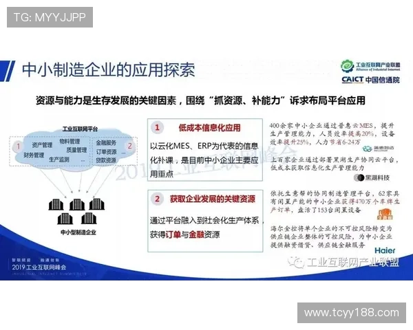 深圳排球队转型之路的真实记录与发展探索