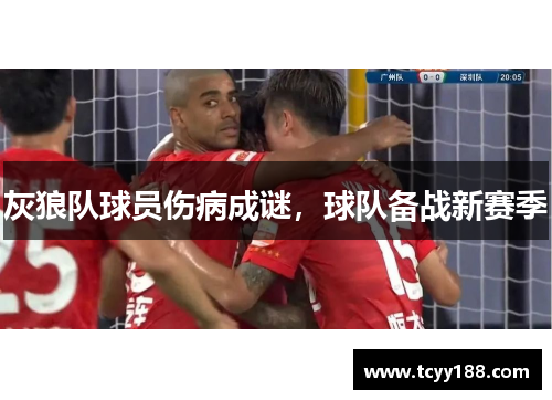 灰狼队球员伤病成谜，球队备战新赛季